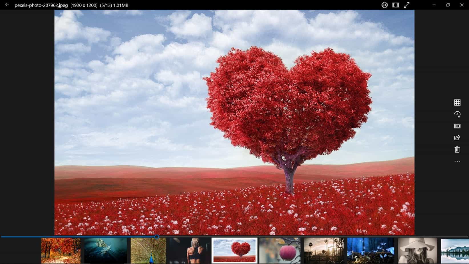 Best Photo Viewer Software for windows 10