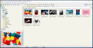 Is Picasa Dead? Best Google Picasa Alternatives For Window