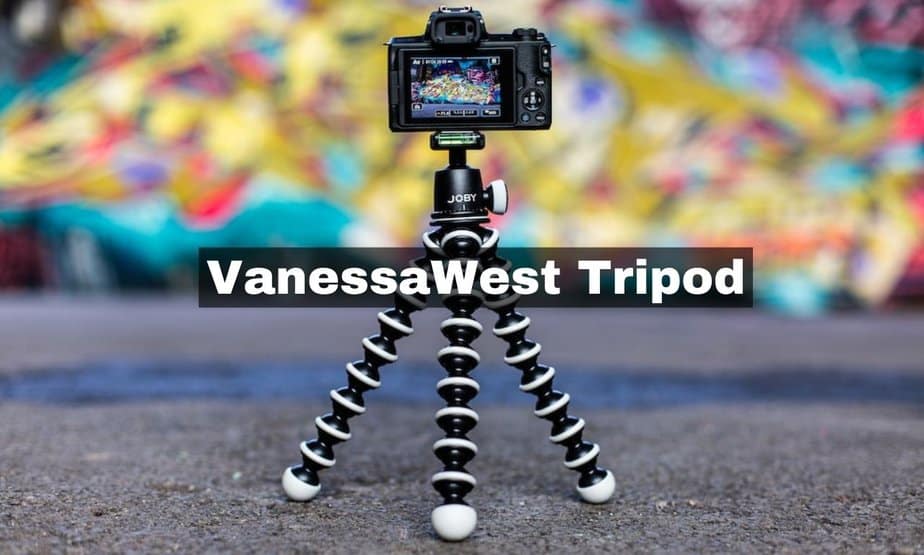 Vanessawest.tripod: Photography of Crime Scenes