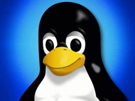 The Best Linux Distros You Can Try