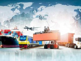 Shipment Insights: Unlocking the Key Components of Successful Transportation