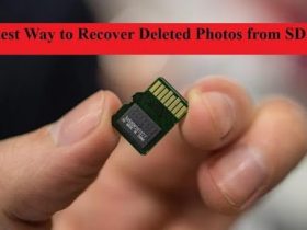 Quickest Way to Recover Deleted Photos from SD Card