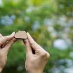 Environmental Sustainability – Go Green with Cloud Computing