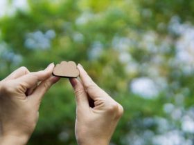 Environmental Sustainability – Go Green with Cloud Computing