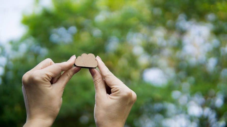 Environmental Sustainability – Go Green with Cloud Computing