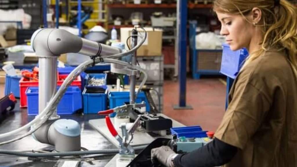 5 Reasons Why Cobots Have Transformed the Food Industry