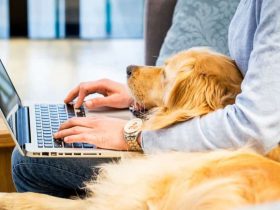 How To Download Embedded Videos From Any Website 2025