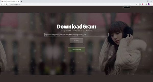 How to Download Instagram Videos on Windows PC