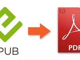 How do I Convert EPUB to PDF File Online & Offline In 3 Easy Steps
