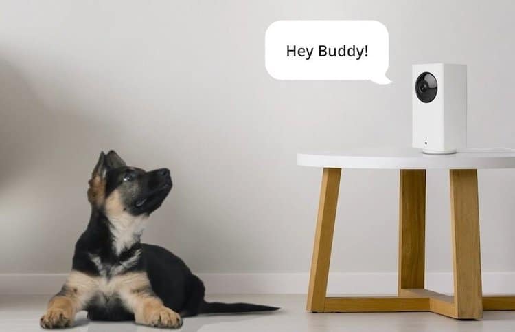 5 Best Security Camera With Night Vision in 2023