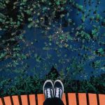 Expert Tips To Choose Pond Filter Media