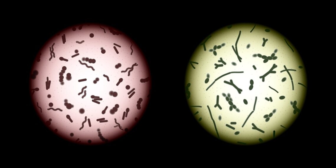 How A Microscope Can Help Inspire Children Into The Sciences