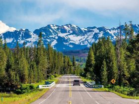 5 Summer Roadtrips to Take in 2025