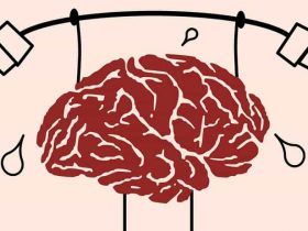 The Best Brain Training Apps For Android & iOS The Best Brain Training Apps For Android & iOS