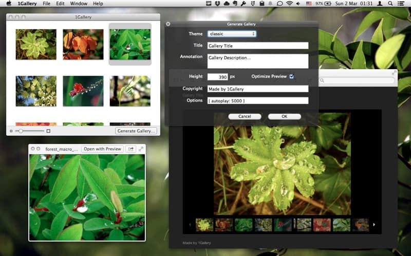 Top Gallery Apps For Android in 2022
